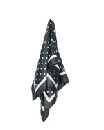Load image into Gallery viewer, Eliza Satin Scarf