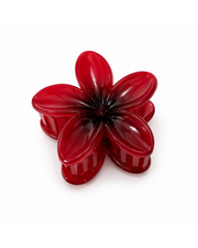 Frangipani Hairclaw