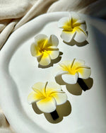 Load image into Gallery viewer, Frangipani Hair Clip Set
