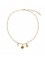 Load image into Gallery viewer, Hawaii Shell Necklace