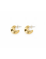 Load image into Gallery viewer, Peta Hoop Earrings