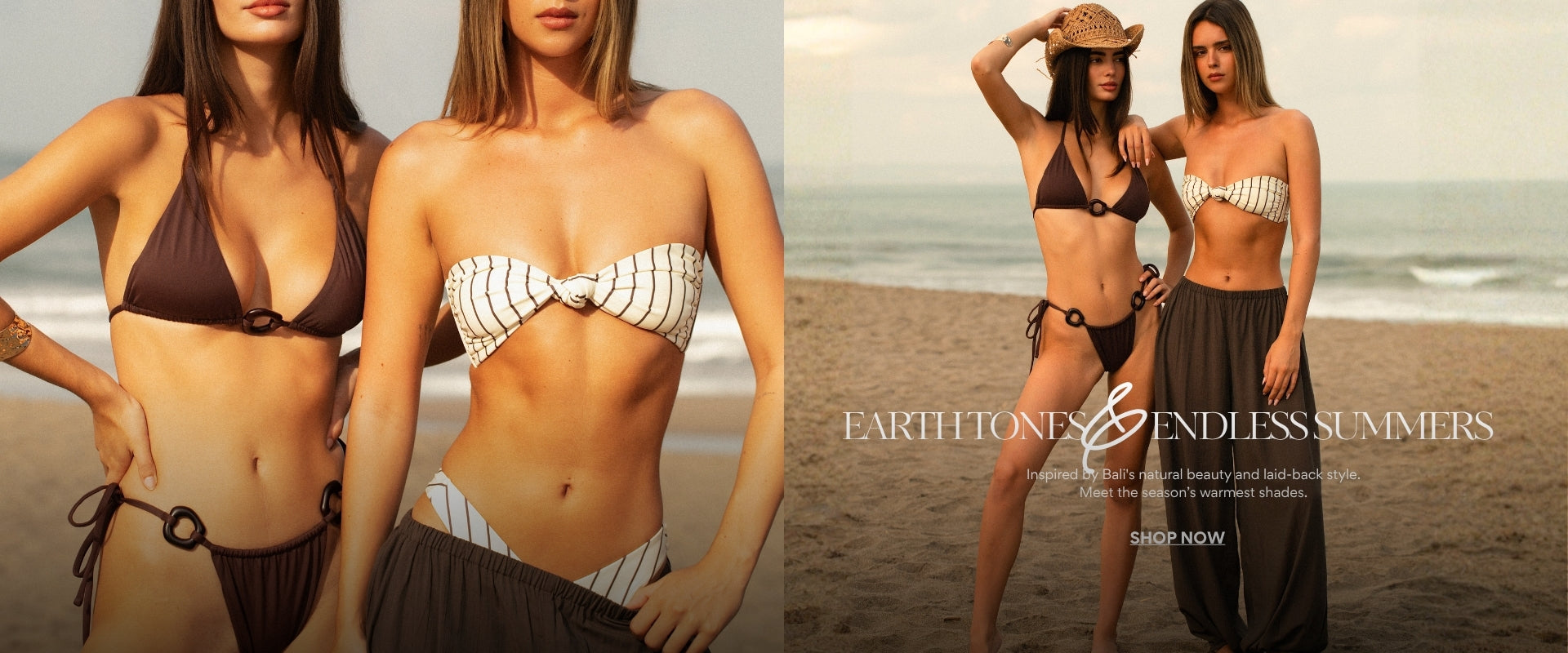 Promotional banner
